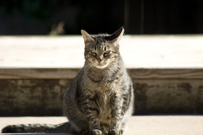 g1/24/651924/3/104937921.aOESAneV.jpg