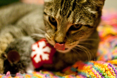 01/24/2009 All Mine!