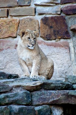 g1/24/651924/3/113080816.ayuj2gIJ.jpg