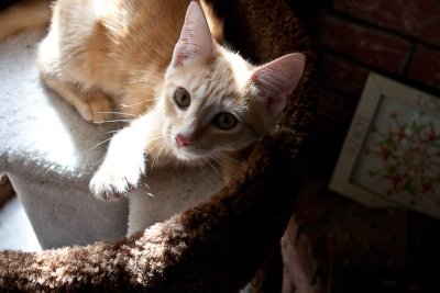 11/13/2010 - Growing
