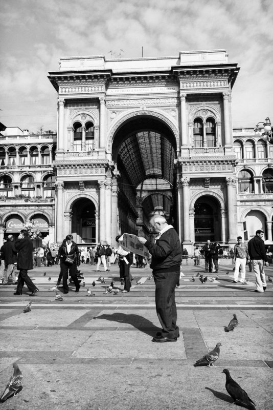 A quiet place to read (Milan)