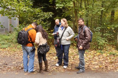 In the Wald 010 Nik.jpg