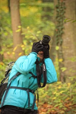 In the Wald 138 Nik.jpg