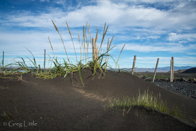 Iceland-633.jpg