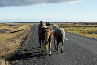 Iceland-470-2.jpg