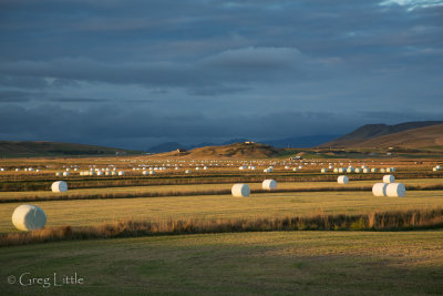 Iceland-680.jpg