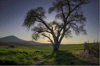Steptoe Butte, sunset