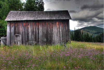 Last Old Barn