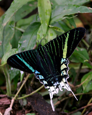 IMG_8433.a.jpg