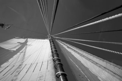 0081_Black--White.jpg