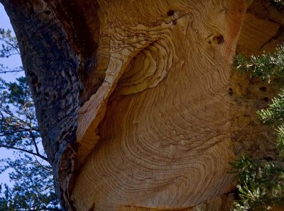 Patterns in the sandstone of Sand Gap Arch