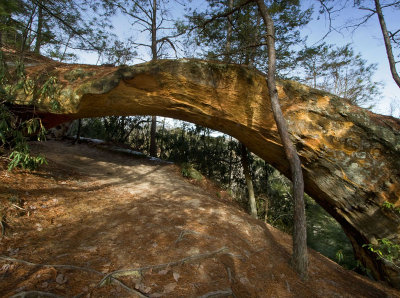 Indian Arch