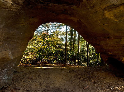 Zoo Arch #1, other side