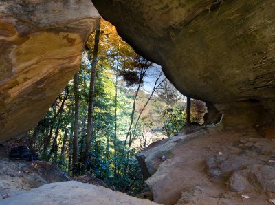 Zoo Arch #2, other side