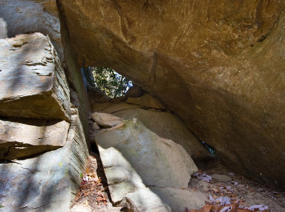 Bottom opening of Zoo Arch #2