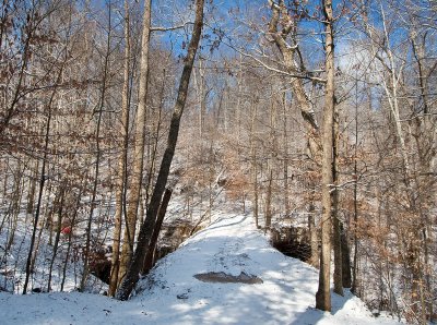 Fishtrap Bridge