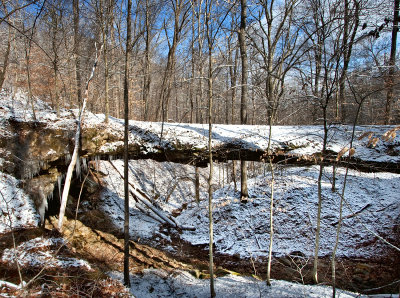 Fishtrap Bridge