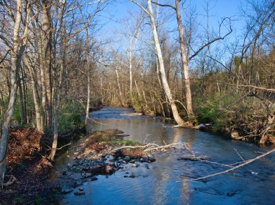 Glenns Creek - the original water source