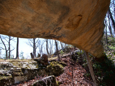 Log Rock Arch
