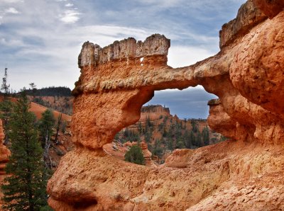 Losee Canyon Arch