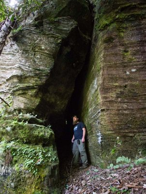 Narnia Passage Arch