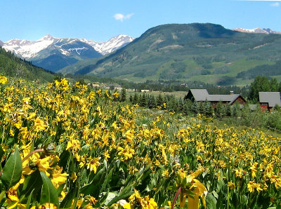 Crested Butte