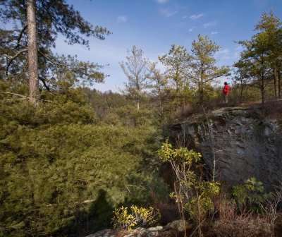 Swift Camp Creek Overlook