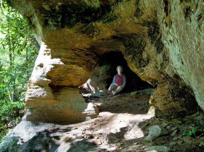 Cats Paw Arch