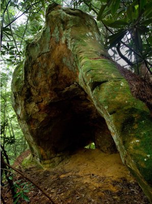 Deer Trail Arch