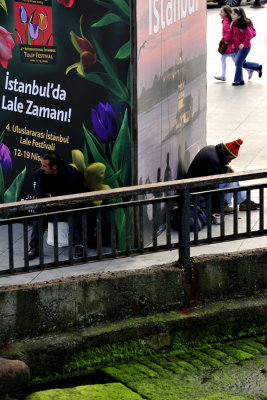 tuliptime in Istanbul