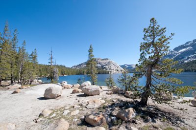 Tenaya Lake