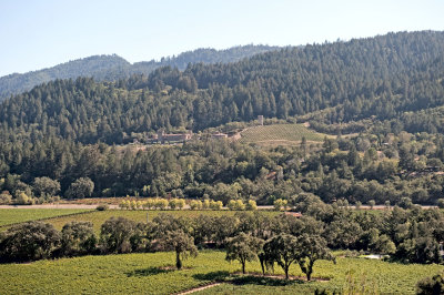 Castello Di Amorosa