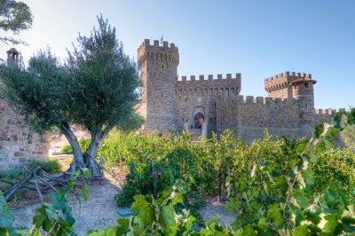 Castello Di Amorosa