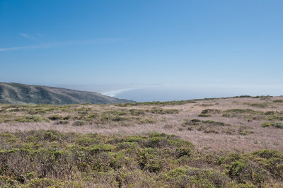 Pt Reyes View