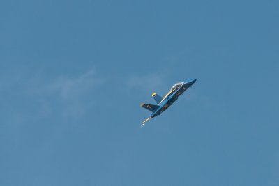 Blue Angels