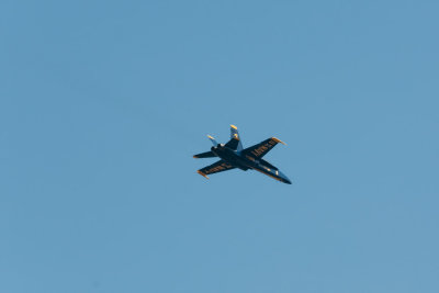 Blue Angels