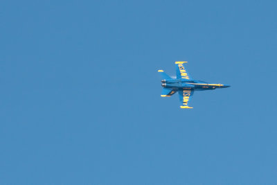 Blue Angels