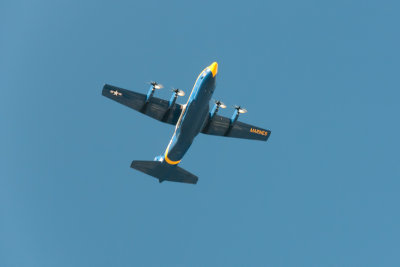 Blue Angels