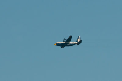 Blue Angels