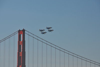 g1/24/745724/3/129250250.MmmcPps6.jpg