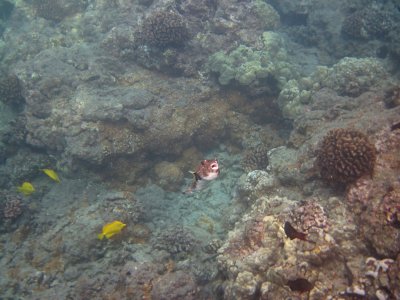 g1/24/745724/3/130908655.Ytcmm6Fy.jpg