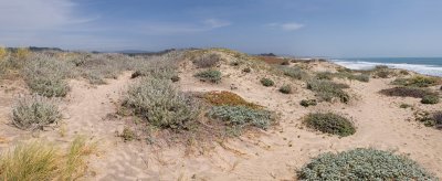 Dunes Beach