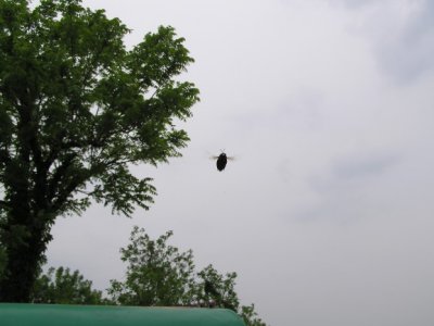 P1010002.JPG