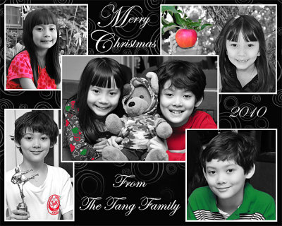 ChristmasCard2010_small.jpg