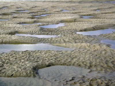 Tidal area at North Myrtle Beach SC