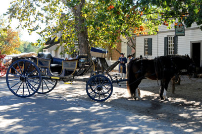 Horse and Carriage in downtown Williamsburg