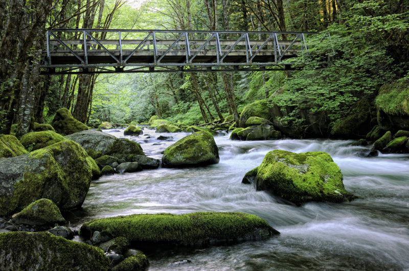 Bridge Over Herman Creek