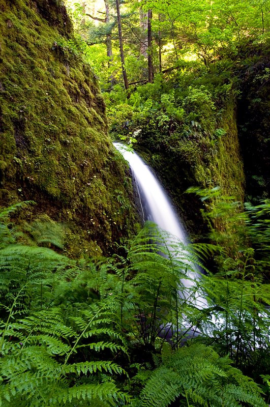 A Waterfall on the creek called Ruckel