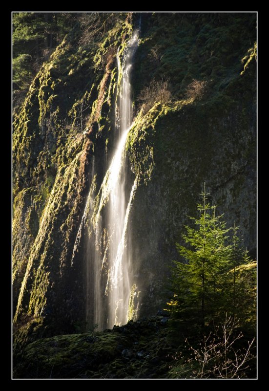 Small Waterfall on Wahclella Falls Trail