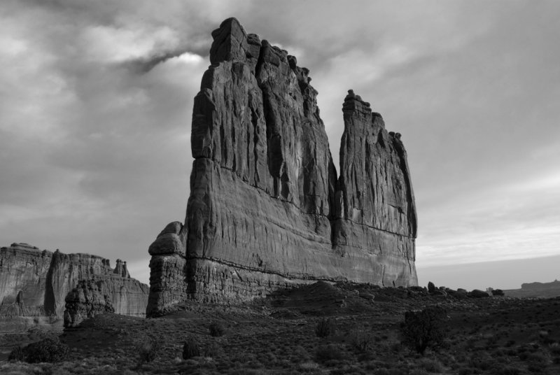  Courthouse Towers B&W